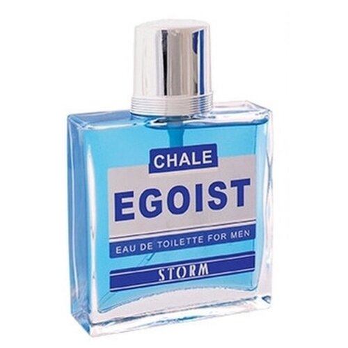 п_пик_CHALE EGOIST Т/В(М)_storm-# B67080014 .