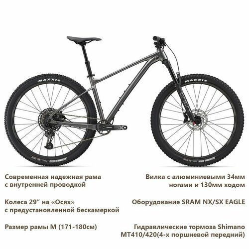 GIANT Fathom 29 1 2022 Black M 18900000₽