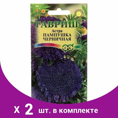 Семена цветов Астра Пампушка черничная, помпонная, О, 0,3 г (2 шт)