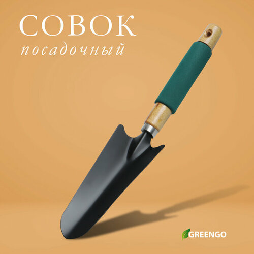 Совок посадочный Greengo, длина 33,5 см, ширина 6,5 см, деревянная ручка с поролоном