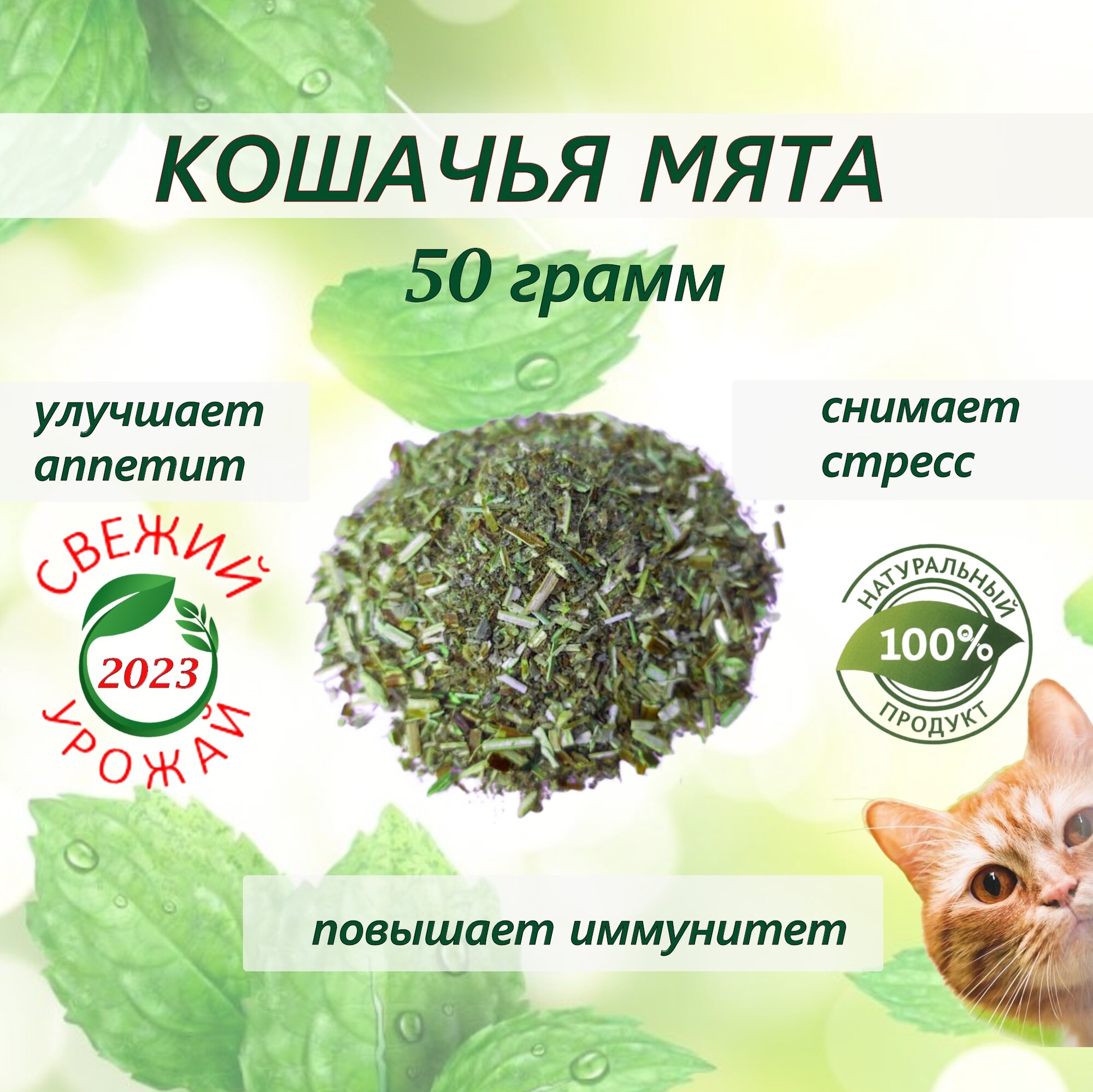 Кошачья мята лакомство для кошек 50 грамм. Котовник сушенный. Для приучения к месту, коррекции поведения, успокоительное.