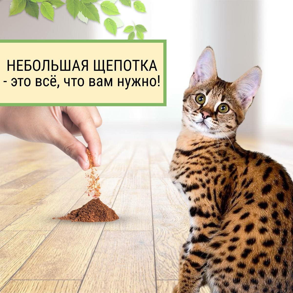Кошачья мята Мататаби , антистресс для кошек - фотография № 4