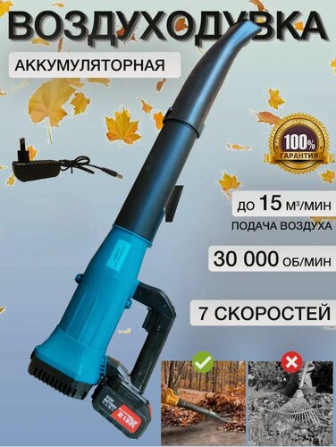 Изображение товара Воздуходувка садовая, для листвы, снега, Li-Ion, 2200Вт, синий