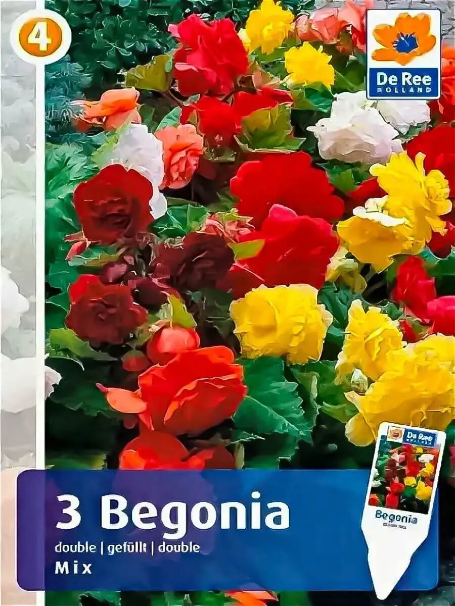 Пакетированные луковицы Бегония махровая микс