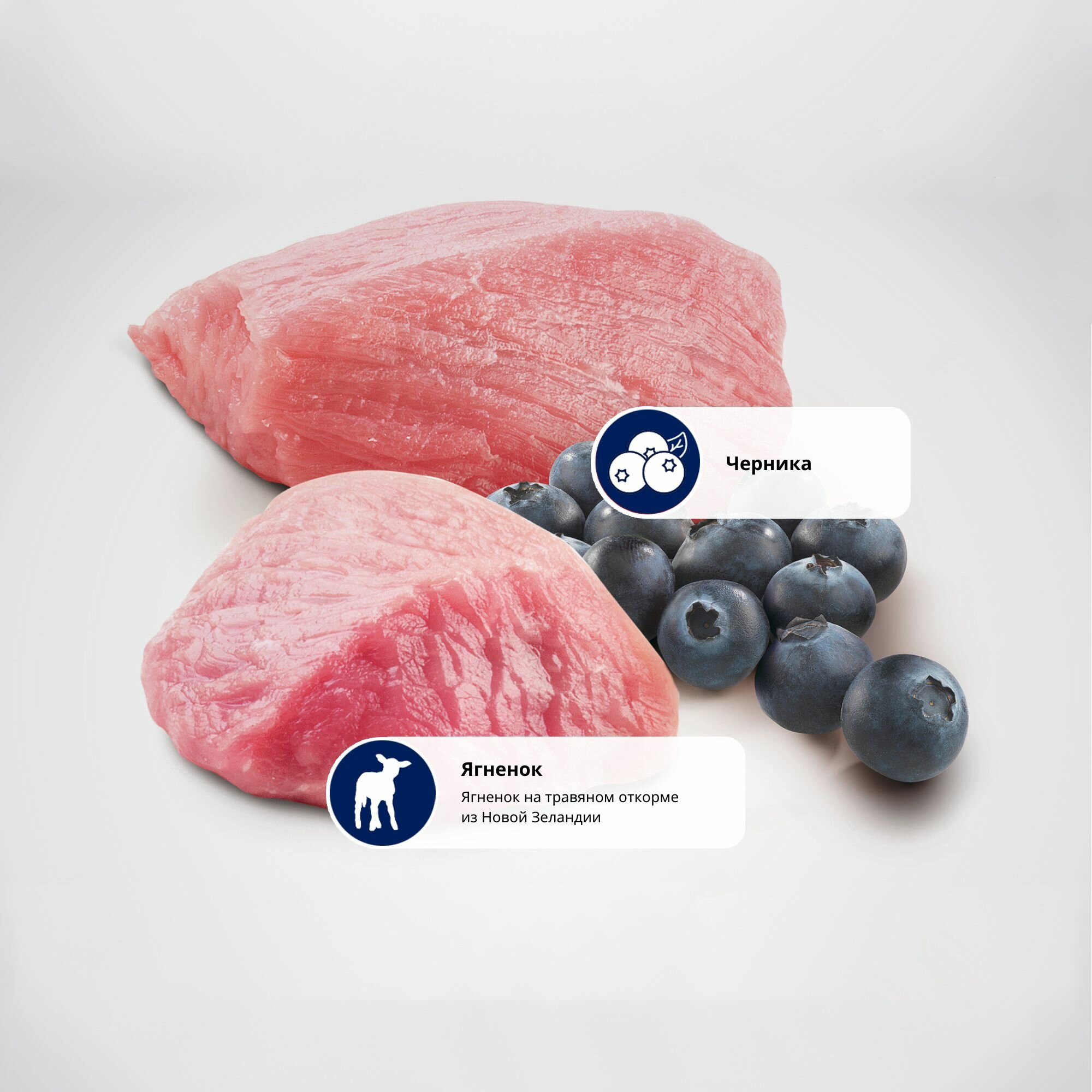 Картинки Cухой корм для кошек Farmina N&D Prime Для взрослых кошек Ягненок с черникой Фармина беззерновой