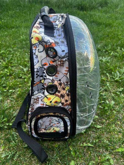 Переноска "Коты" 41х27х31см, универсальная, для кошек и собак