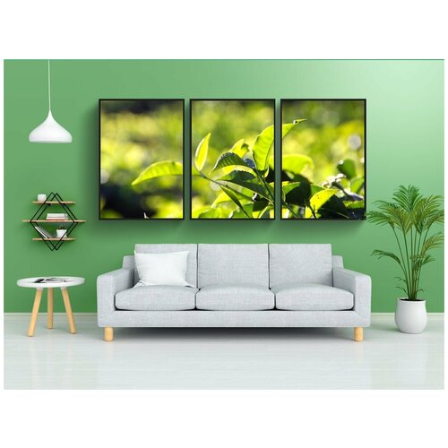 фото Набор модулных постеров для интерьера "чай, плантация, чайная плантация" 60x90 см. в тубусе, без рамки lotsprints