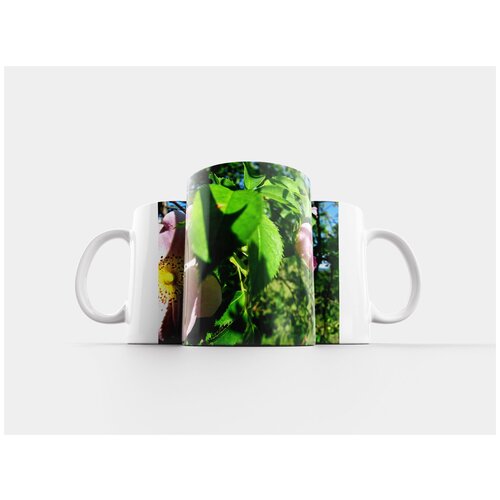 фото Кружка "роза, бутон розы, розовый куст" 320 мл lotsprints