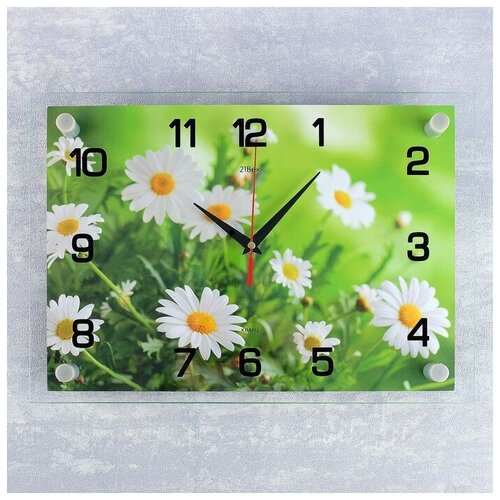 фото Часы настенные, серия: цветы, "ромашки", 25х35 см, микс mikimarket