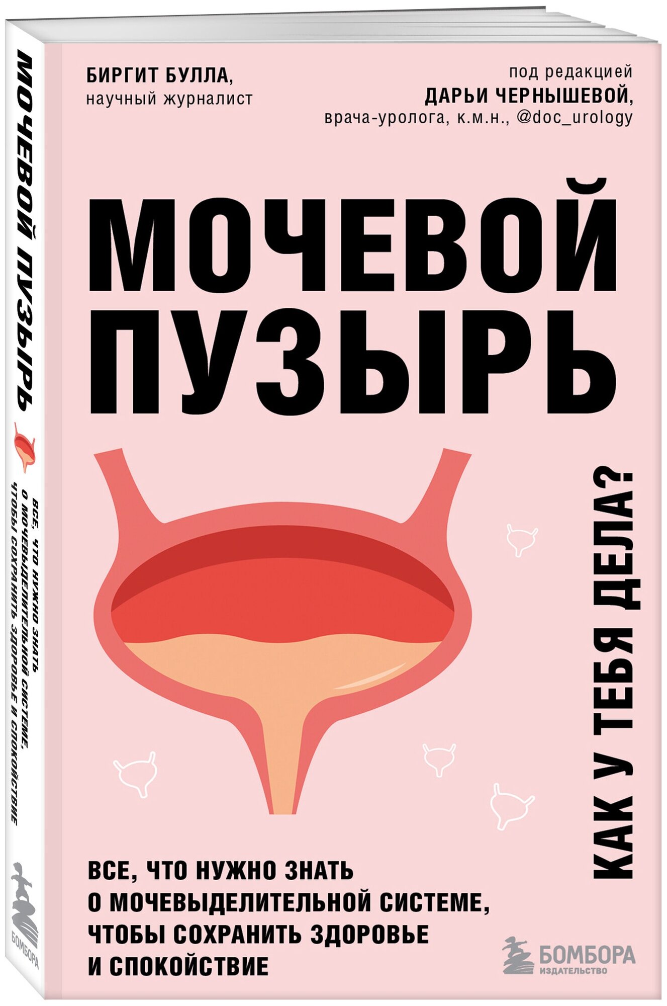 Мочевой пузырь. Все, что нужно знать о мочевыделительной системе, чтобы сохранить здоровье и спокойствие - фото №1
