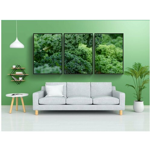 фото Набор модулных постеров для интерьера "капуста, свежий, овощи" 60x90 см. в тубусе, без рамки lotsprints