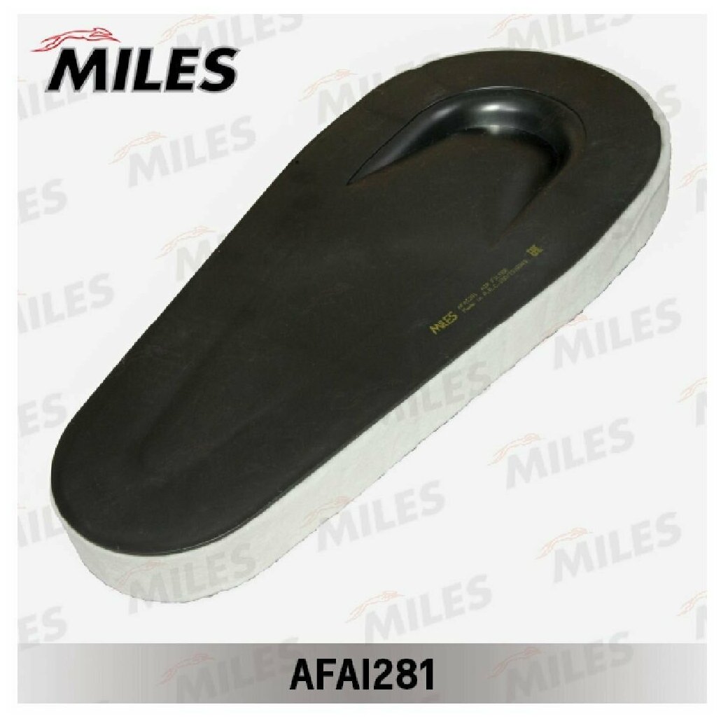 MILES AFAI281 Фильтр воздушный BMW F10/F07/F01 2.0D/3.0D (FILTRON AK362/7 MANN C51001) AFAI281