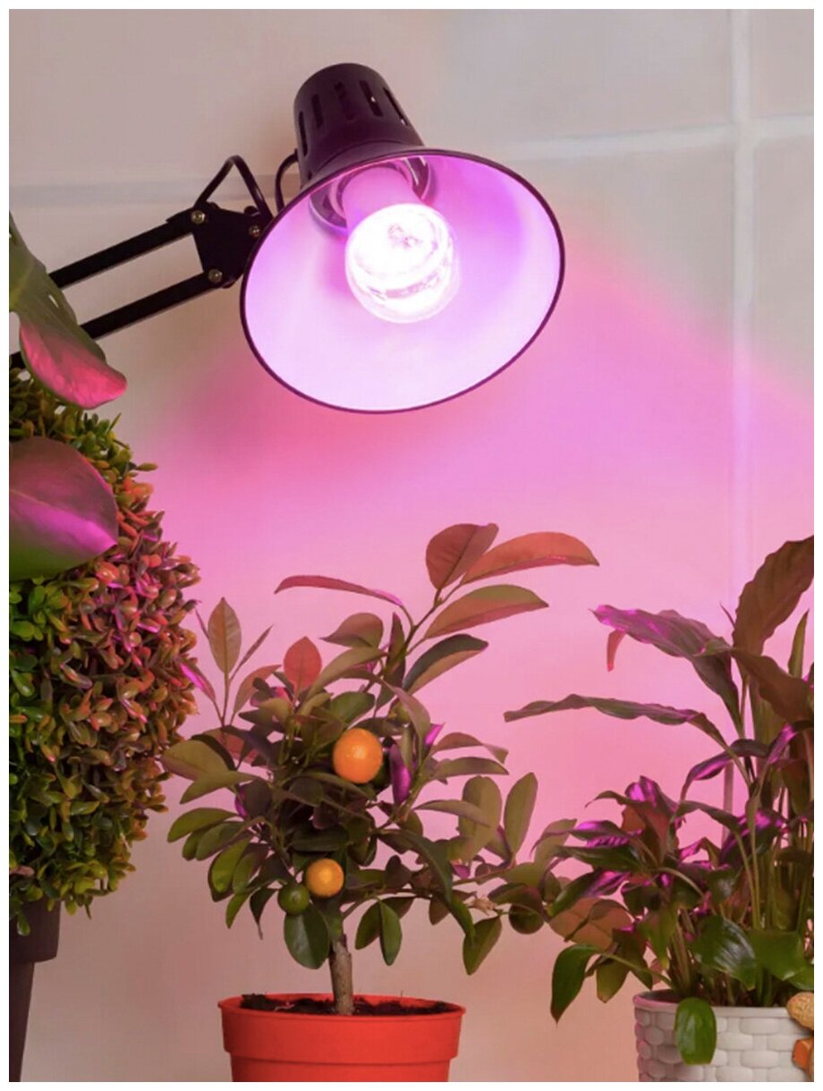Лампа светодиодная LED 9Вт A60 Е27 CLEAR ( для растений) Jazzway - фотография № 9