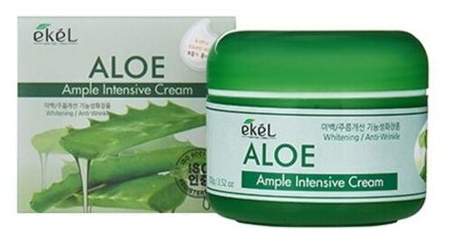 Крем для лица EKEL Ample Intensive Cream с алоэ, 100 г