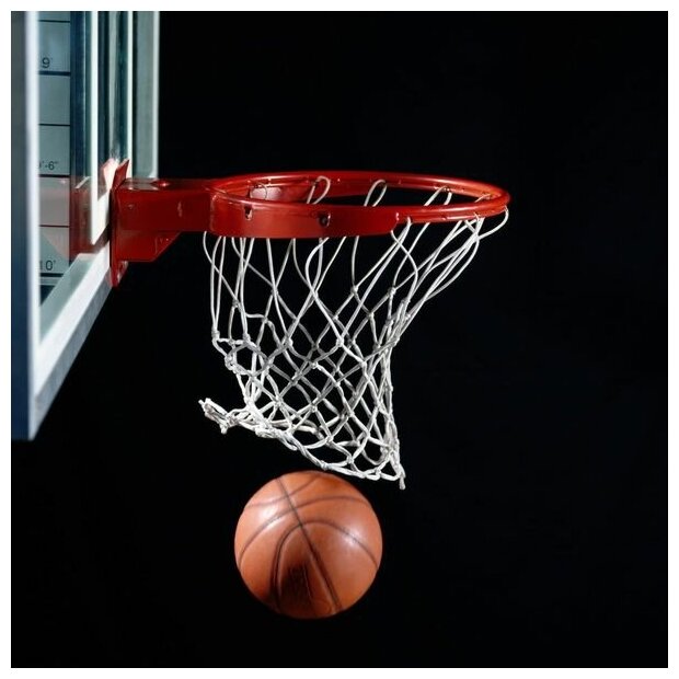 Постер на холсте Баскетбол №1 40см. x 40см.