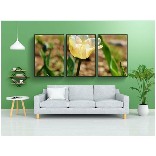фото Набор модулных постеров для интерьера "тюльпан, цвести, срезанный цветок" 60x90 см. в тубусе, без рамки lotsprints
