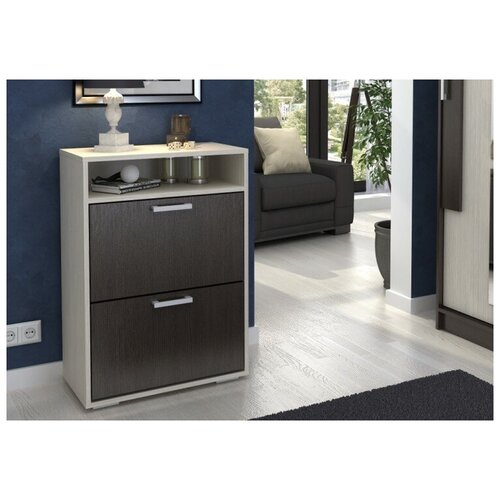 Обувница Дели-1