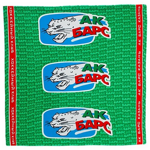 фото Хк "ак барс" 190004170651 плед