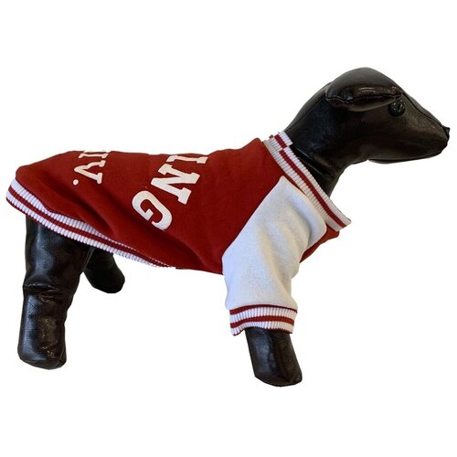 фото Толстовка р-р s спинка 24-26см/вк-537/китай 1 шт koiko