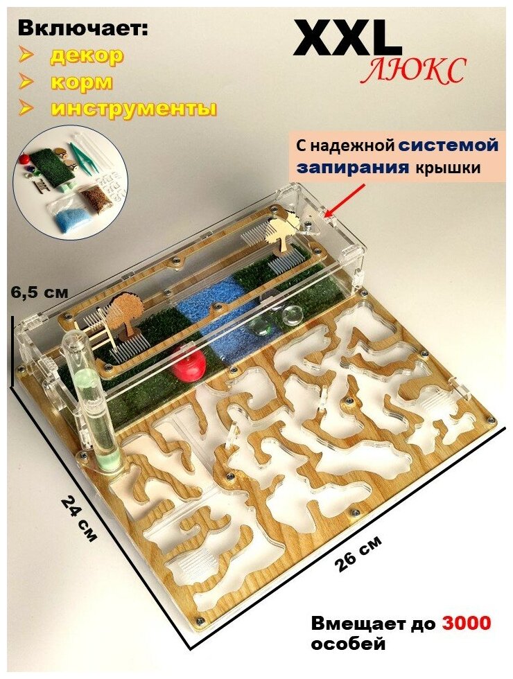 Большая муравьиная ферма Древесная XXL Люкс 26х24 - фотография № 1