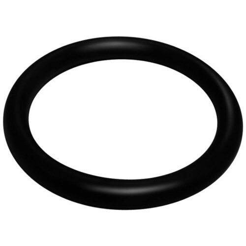 Кольцо под американку MasterProf, ИС.130874, 1 уплотнительное кольцо masterprof ис 130874 2 шт