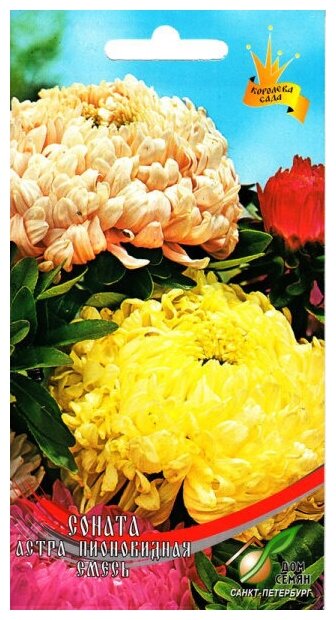 Астра пионовидная Соната смесь  90 семян