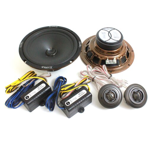 Колонки Xcelsus Primum XP62 900000₽