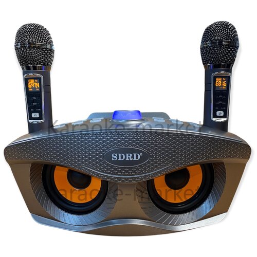 Караоке система SDRD SD 306 Plus bluetooth (серый)