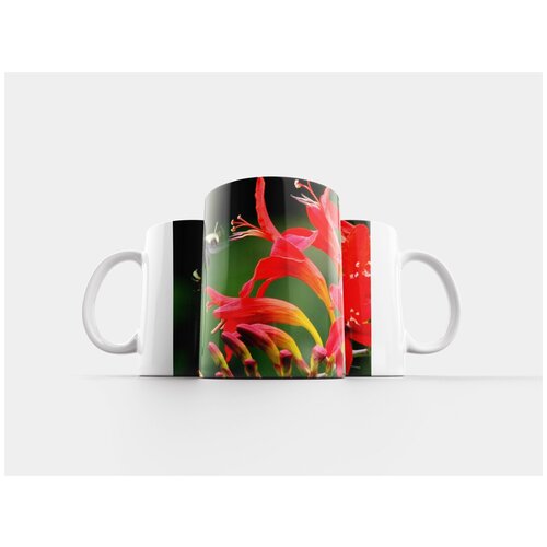 фото Кружка "цветы, крокосмия, люцифер" 320 мл lotsprints