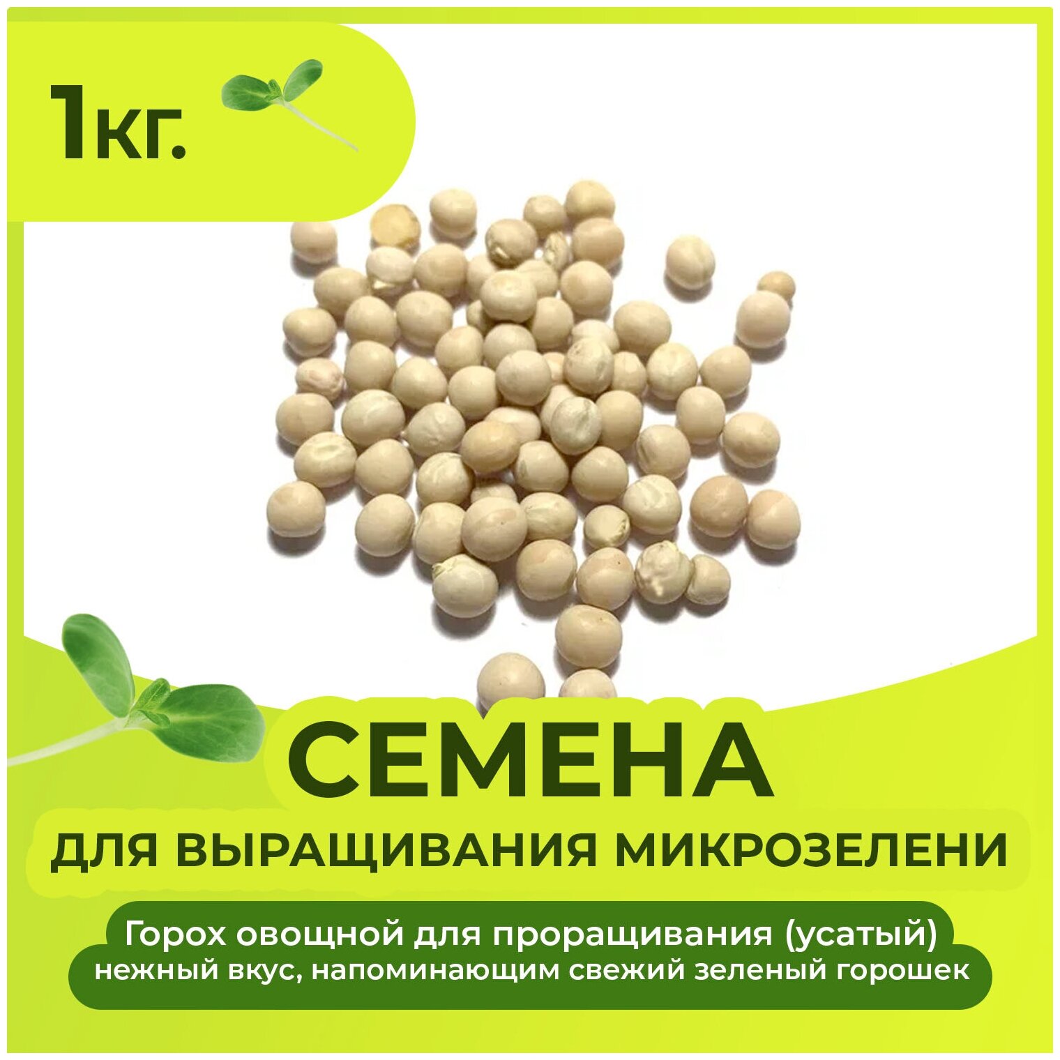 Семена гороха (усатый) для выращивания микозелени 1 кг.