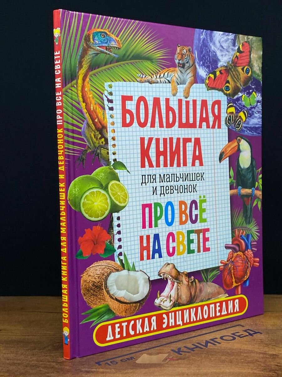 Большая книга для мальчишек и девчонок про всё на свете - фото №20