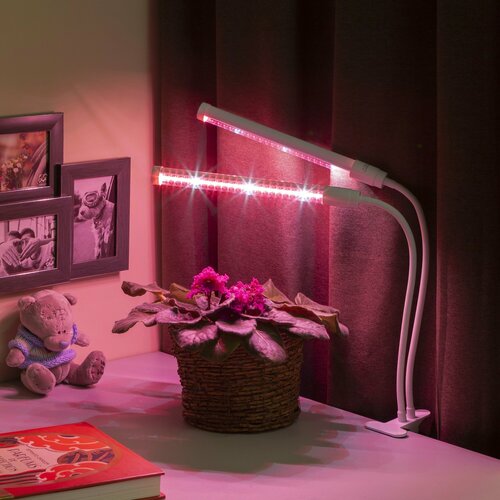 фитосветильник светодиодный t5 10вт 572 мм ip20 на прищепке красно синий спектр Фитосветильник светодиодный для растений Эра на прищепке красно-синий спектр розовый свет 20 Вт