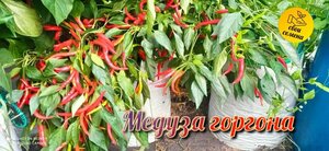 Основная фотография от вендора