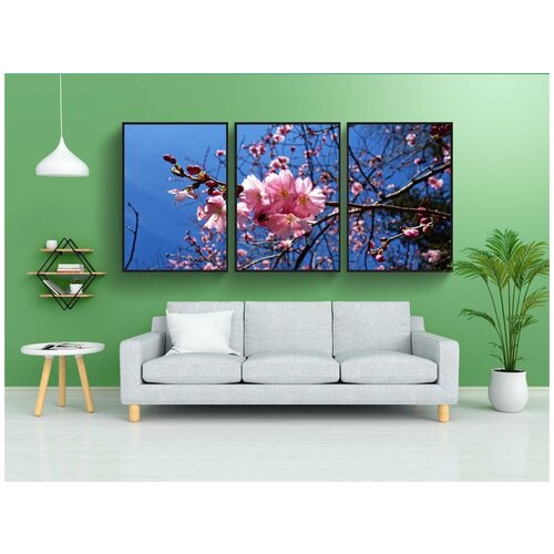 фото Набор модулных постеров для интерьера "вишни в цвету, цветок, вишневое дерево" 60x90 см. в тубусе, без рамки lotsprints