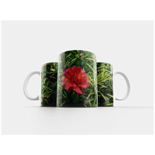 фото Кружка "красный, цветок, природа" 320 мл lotsprints