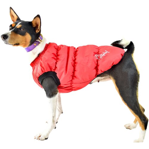 фото Жилет утепленный для собак средних пород джекидог унисекс арт.0102 р.m, цв.красный jackydog