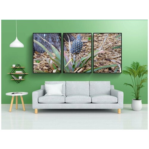 фото Набор модулных постеров для интерьера "ананасы, растения, тропический" 60x90 см. в тубусе, без рамки lotsprints