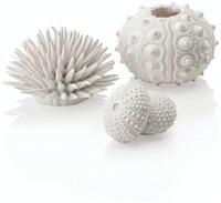 Набор декор. элементов Морской ёж, белый, sea urchins set white