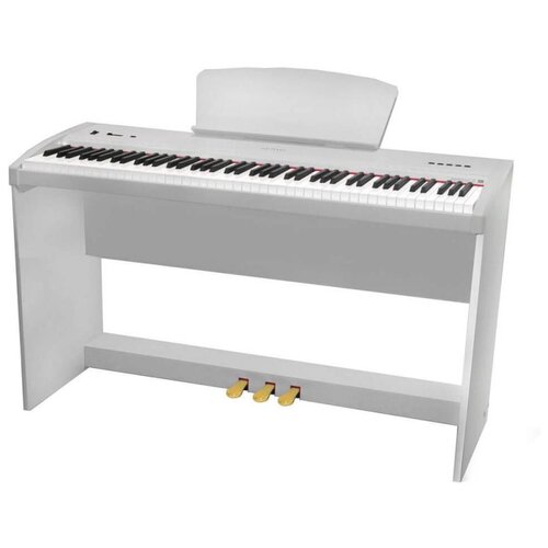 Цифровое пианино Sai Piano P-9BT