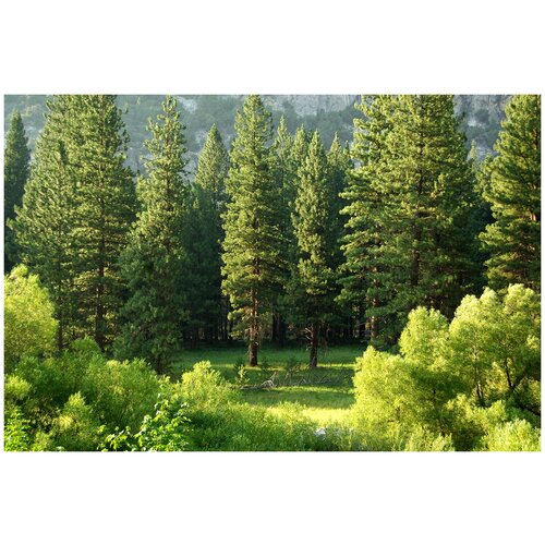 Фотообои Уютная стена Зеленая роскошь гор 410х270 см Виниловые Бесшовные единым полотном 14390₽