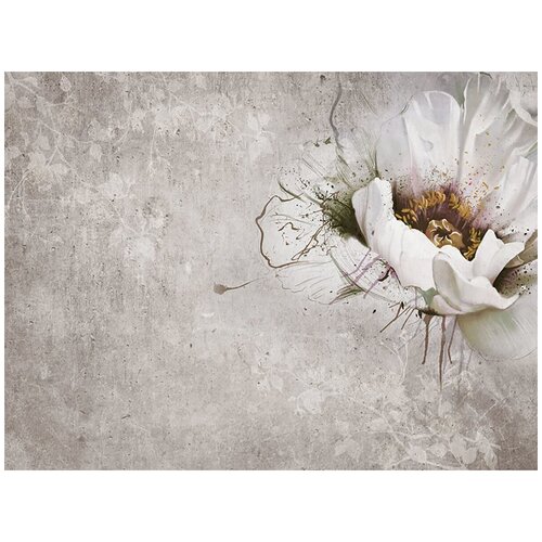 Фотообои Уютная стена Цветок мака на сером фоне 360х270 см Виниловые Бесшовные (единым полотном)