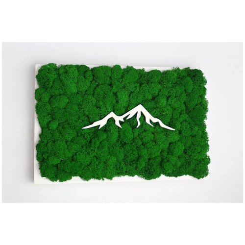 Живая эко-картина 20х30 см 