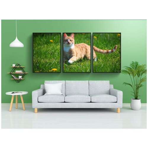 фото Набор модулных постеров для интерьера "кот, котенок, красный полосатый" 60x90 см. в тубусе, без рамки lotsprints