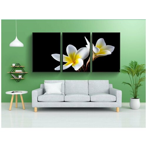 фото Набор модулных постеров для интерьера "цвести, цветок, франжипани" 60x90 см. в тубусе, без рамки lotsprints