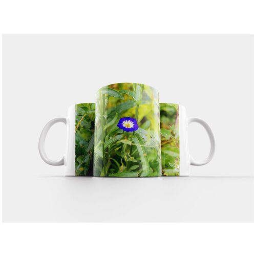 фото Кружка "цветы, лето, природа" 320 мл lotsprints