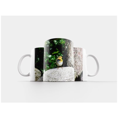 фото Кружка "робин, птица, певчая птица" 320 мл lotsprints