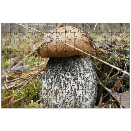 фото Магнитный пазл 27x18см."красная шапка, гриб, лес" на холодильник lotsprints