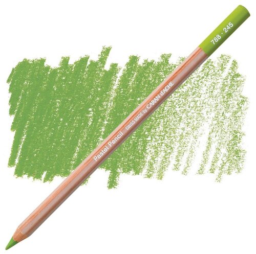 Пастельные карандаши Caran d`Ache Карандаш пастельный Caran d’Ache Pastel, 245 Оливковый светлый 40%