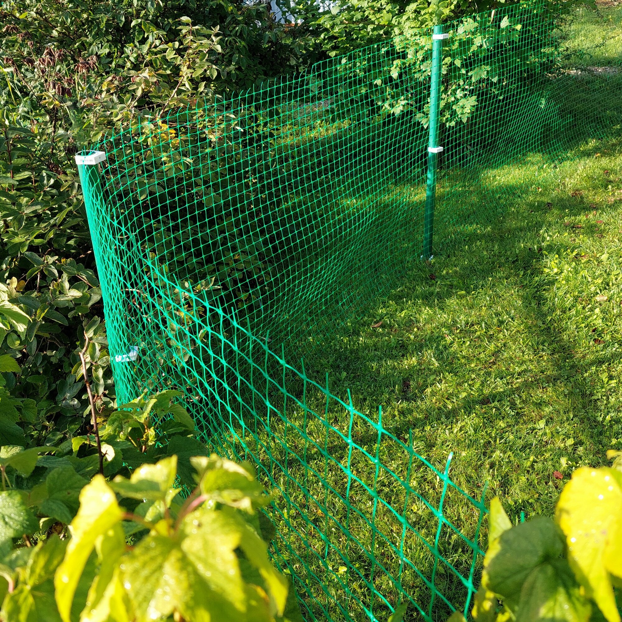 Сетка садовая пластиковая 1*10м для птичников, для вольеров ячейка 30*30мм, зеленая - фотография № 1