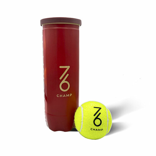 Мячи для большого тенниса 7/6 Championship 3b мячи для большого тенниса head red felt tip 3b 578113